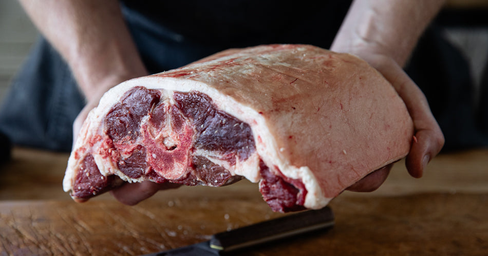 Lamb