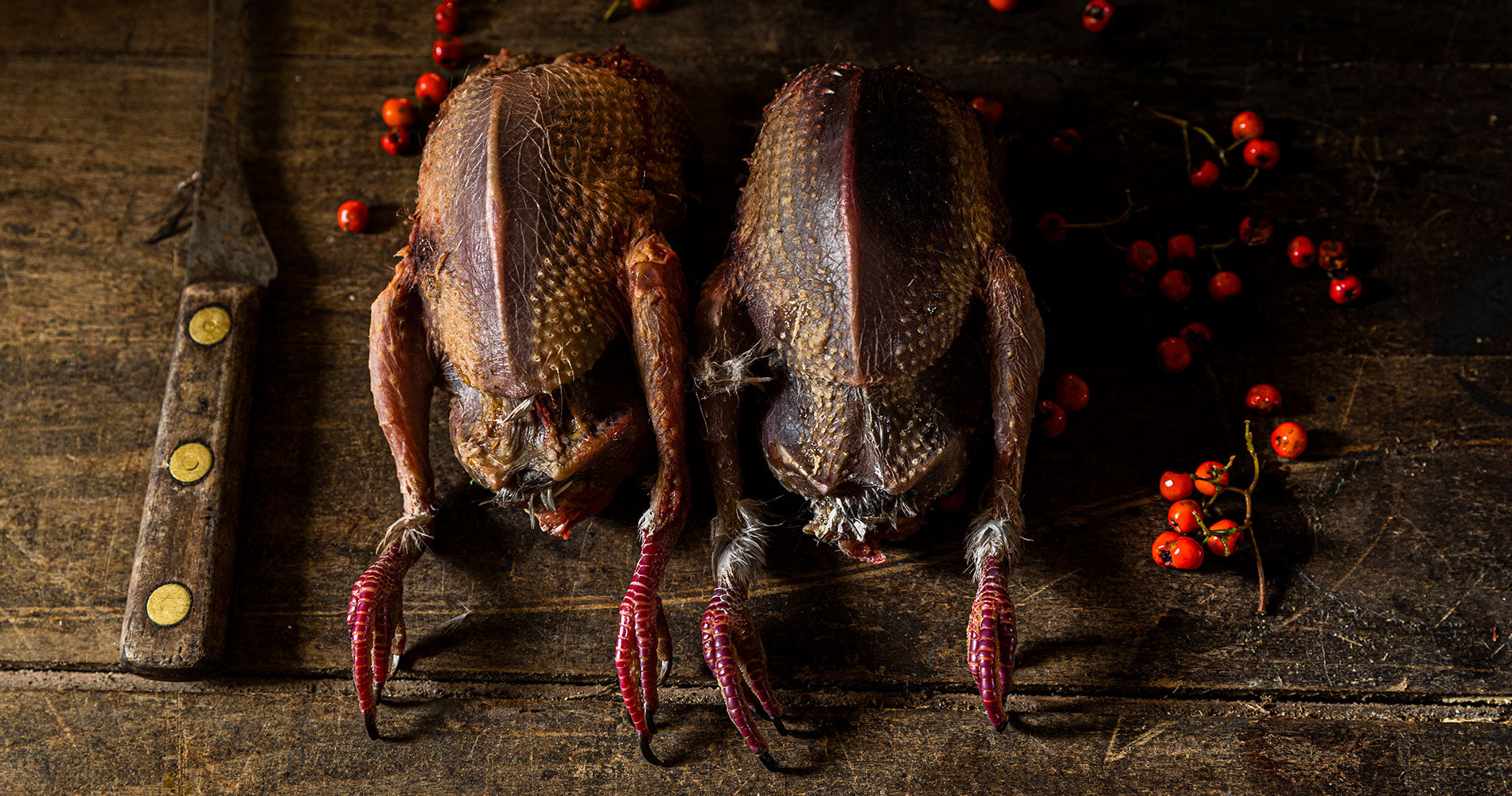 Buy Wild British Game Meat Online | Always Fresh Never Frozen®