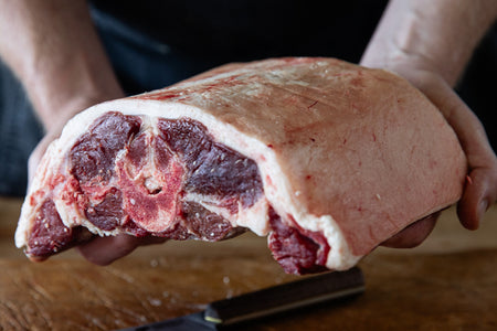 Lamb