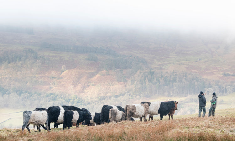 Swaledale Butchers®