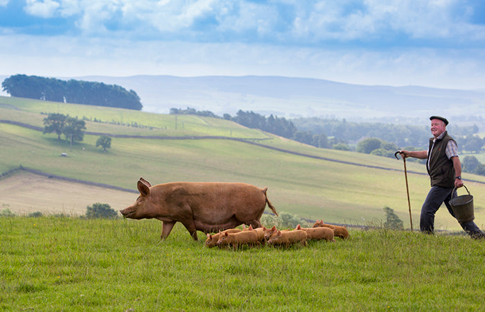 Swaledale Butchers