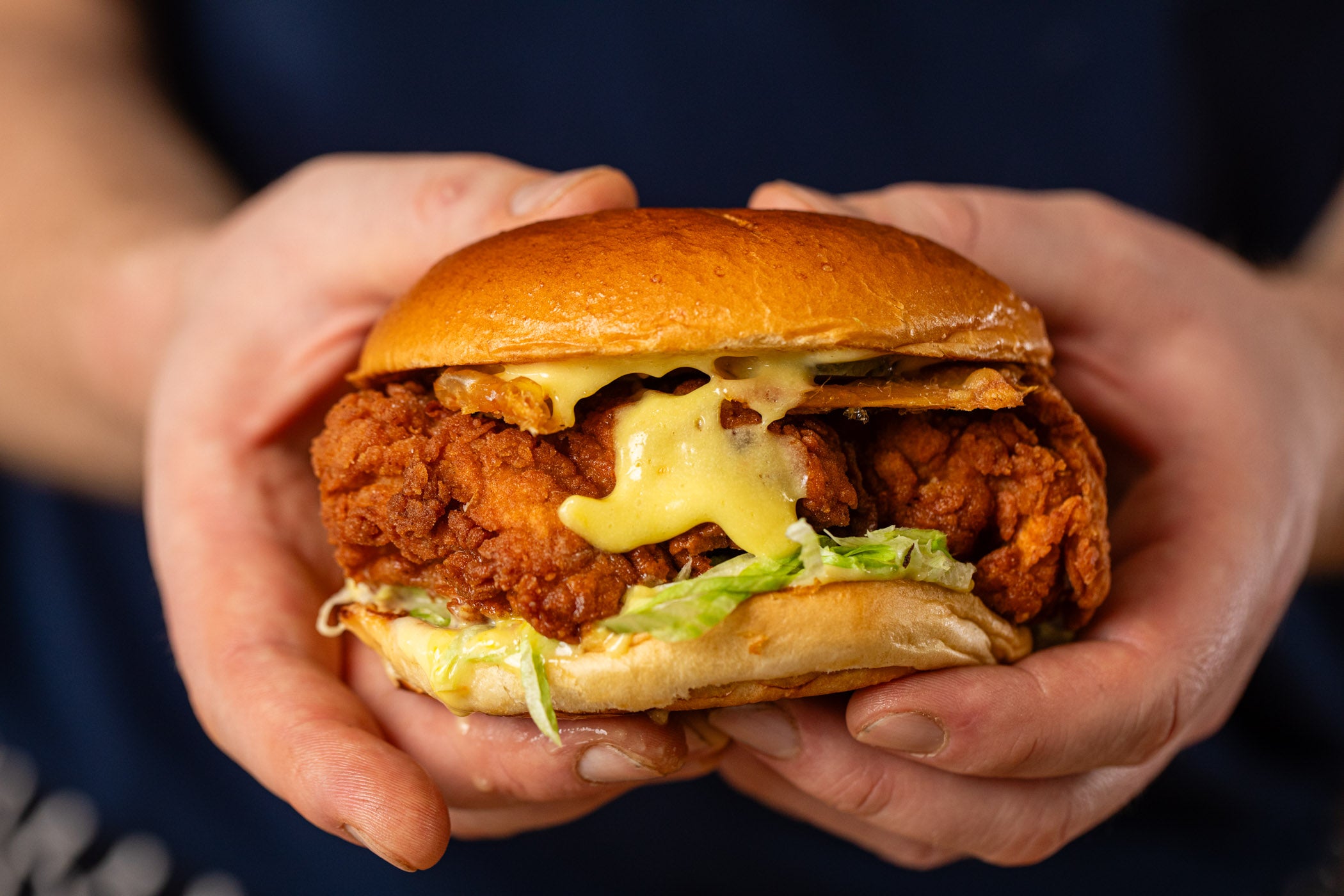 Chicken Thighs, Boneless Skin-On