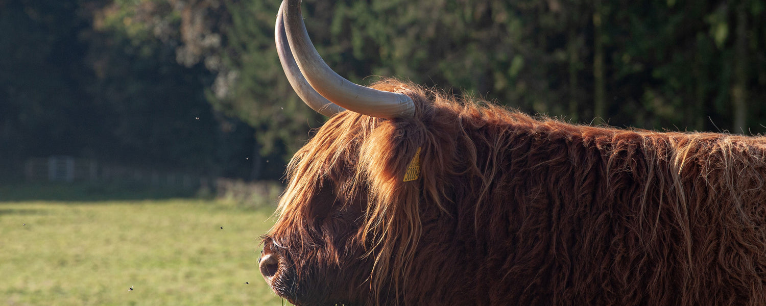 Swaledale Butchers