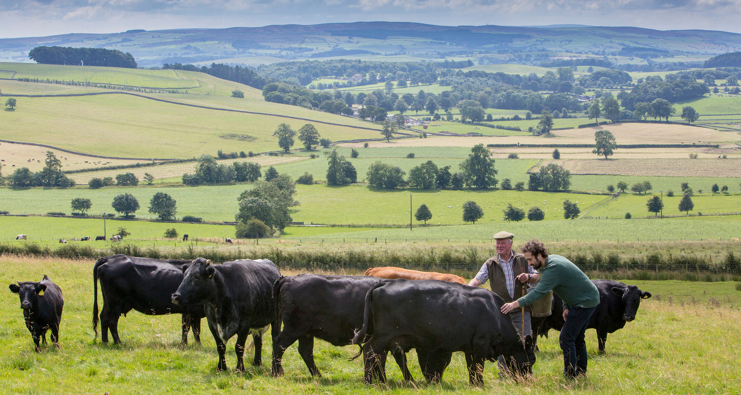 Swaledale Butchers