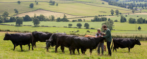 Swaledale Butchers®