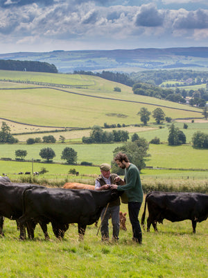 Swaledale Butchers®