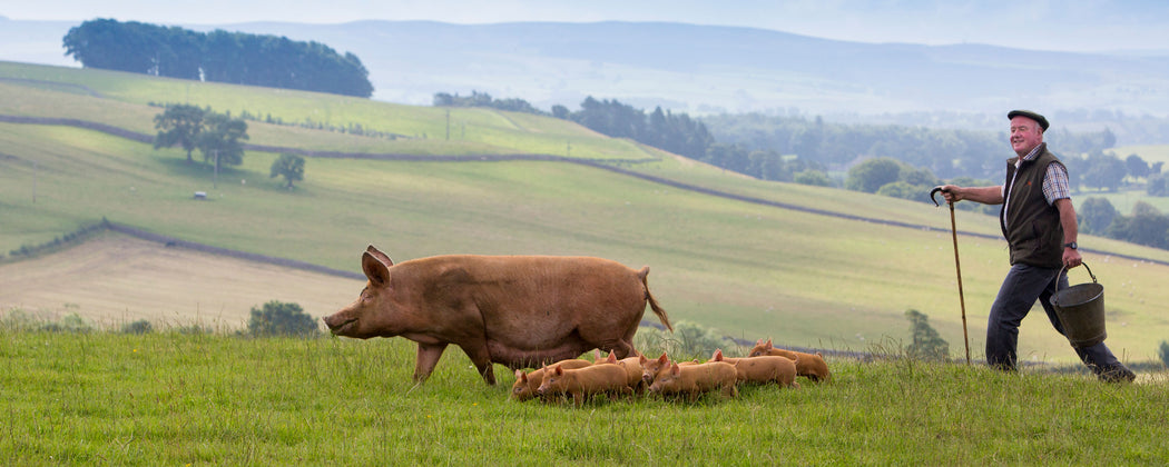 Swaledale Butchers