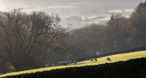 Swaledale Butchers®