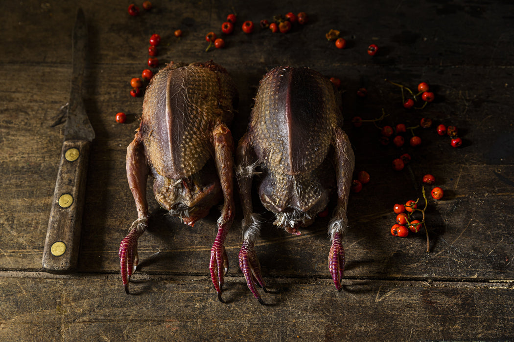 Brace of Wood Pigeon, Whole